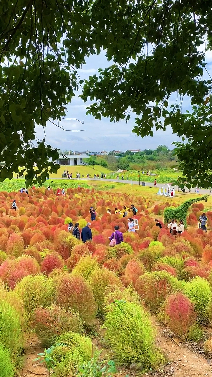 每个人心中都有半亩花田,待风吹过,便有一米阳光暖在心头!