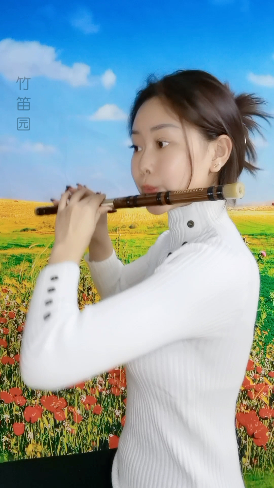 笛子#笛子挑战琵琶名曲 欢沁>,鼓励一下吧