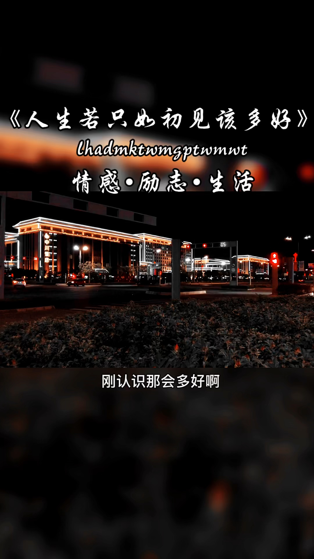 情感励志#人生若只如初见该多好