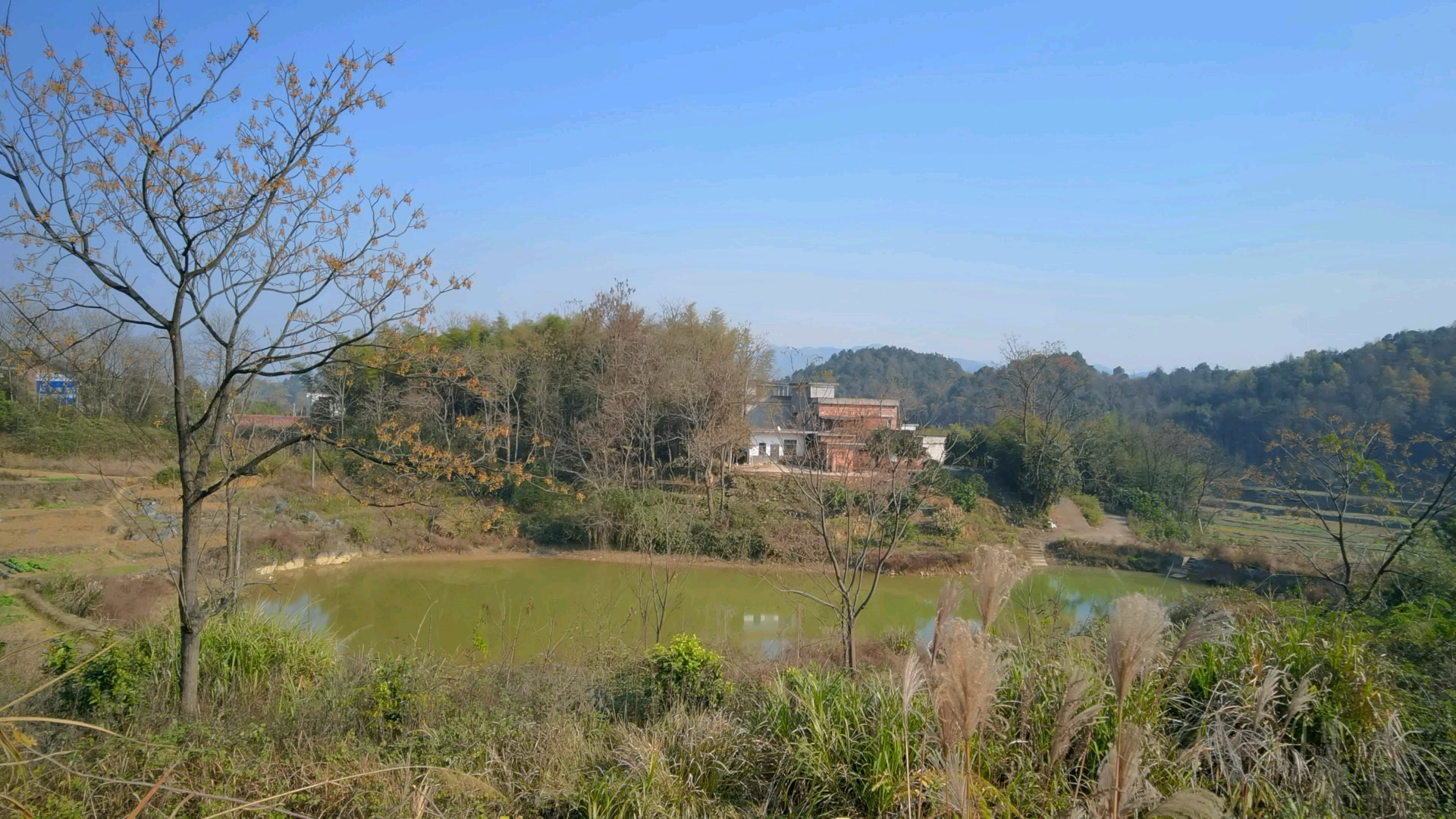 记录生活#湖南省邵阳县五峰铺镇农村风景