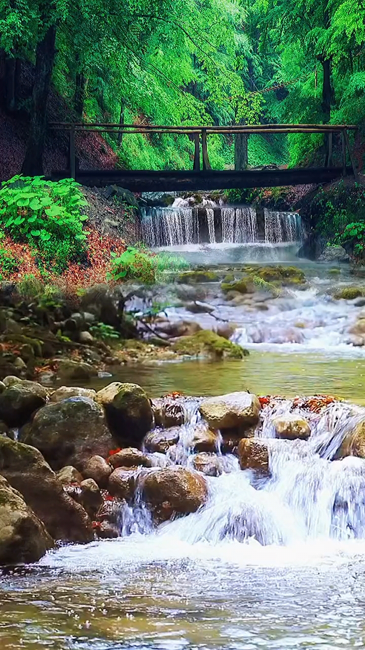 远离喧嚣,亲近大自然,观山林,闻鸟鸣,修心之清净,得世间大爱.