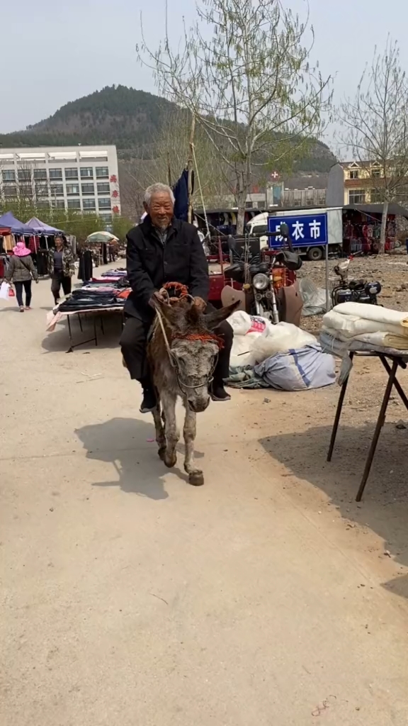 爷爷骑驴来赶集,全程不用下车,不用考驾照不查酒驾,四驱配置,全景天窗