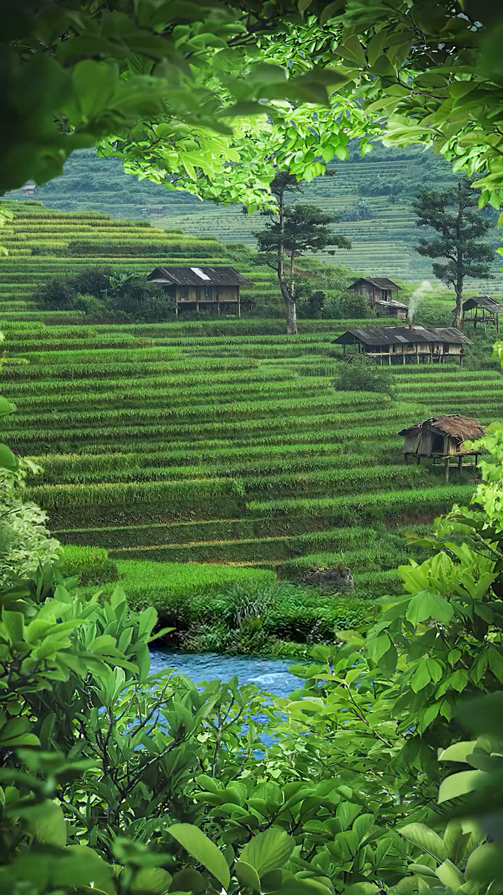 太美了,清晨见美景,舒心,静心!