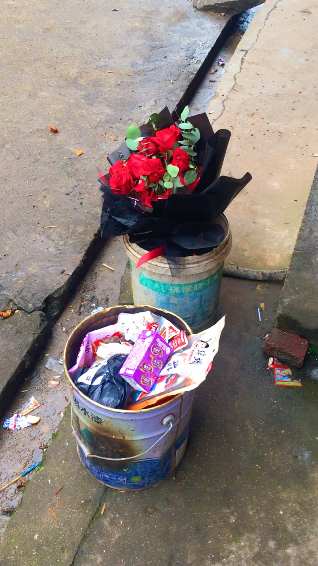 丢垃圾桶里的玫瑰花图片