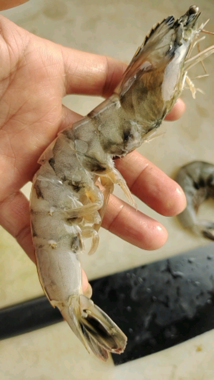 酒店里的黑头的大虾,这样改刀被老板表扬了,价格翻了五倍,你吃过吗?