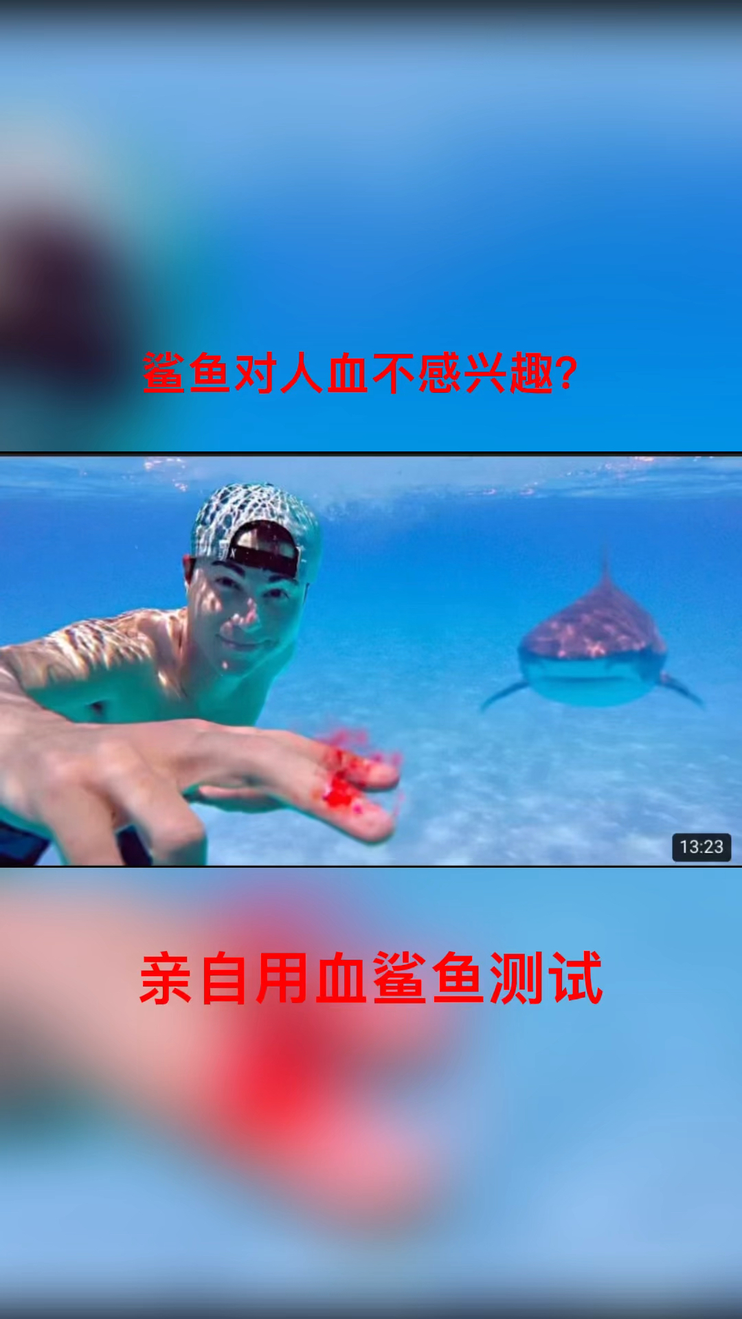 大佬來了美國小夥用血測試鯊魚為啥沒反應呢