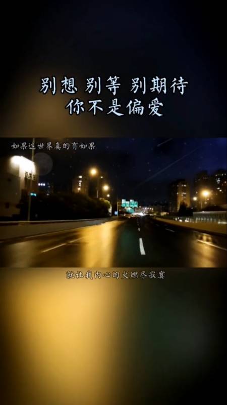 别想,别等,别期待,你不是偏爱