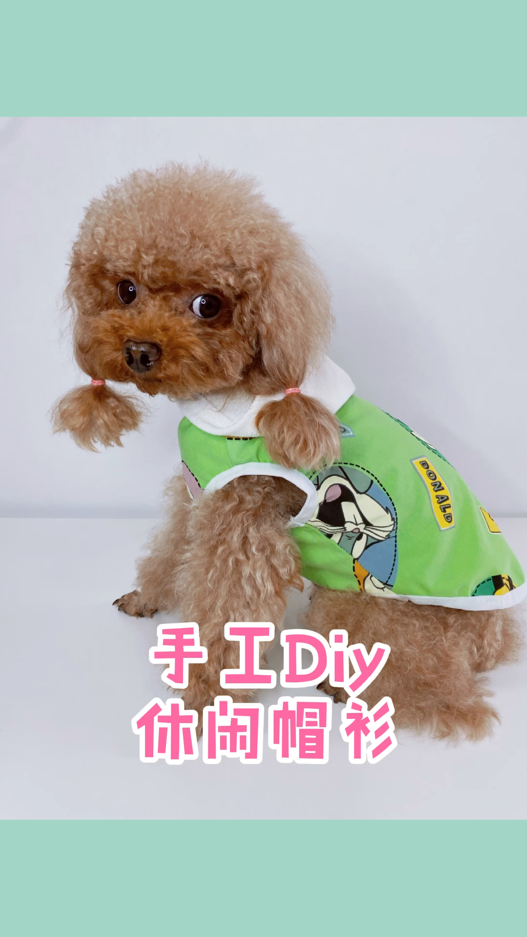 旧衣服改造狗狗衣服自制宠物衣服休闲帽衫