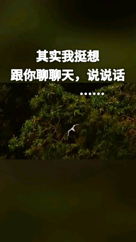 情感故事#其实我挺想跟你说说话,聊聊天