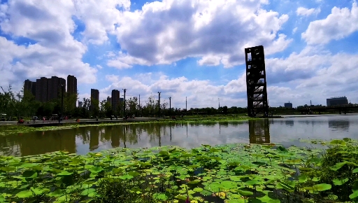 走进洪河湿地公园#安阳城南的一座温地公园