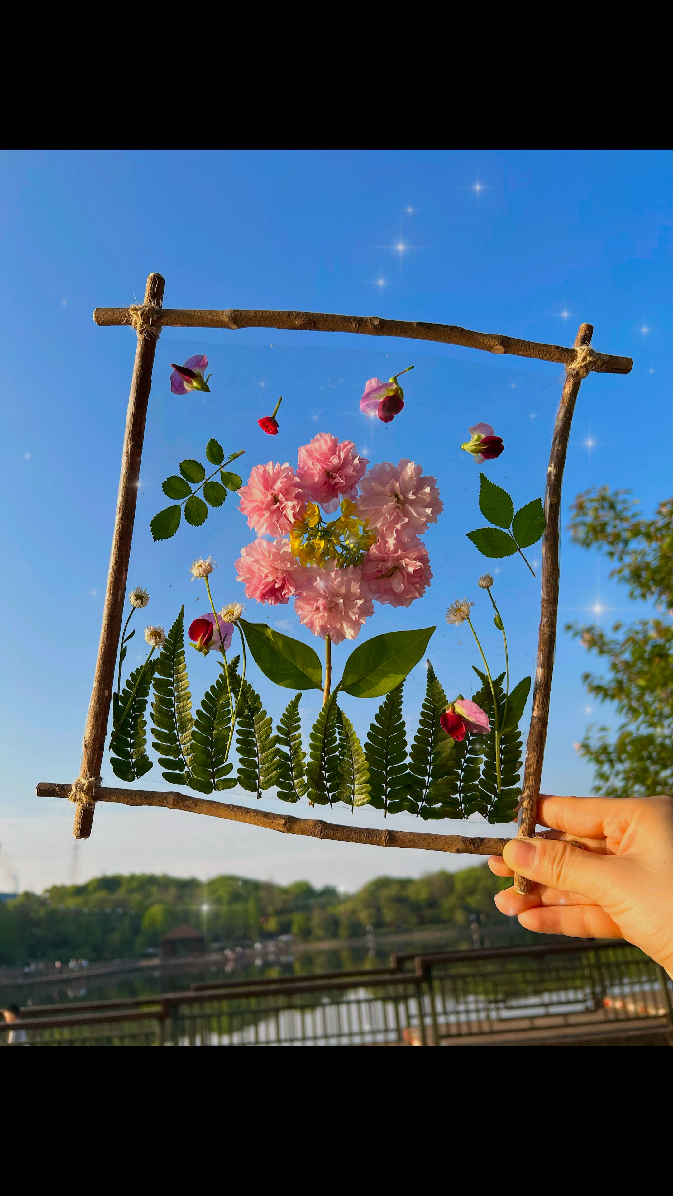 美丽的春天,一起把它装进相框里吧!