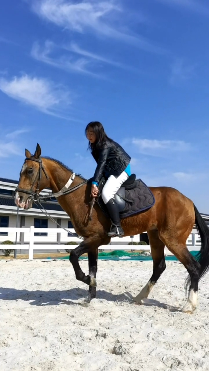 马场#美女驯汗血宝马