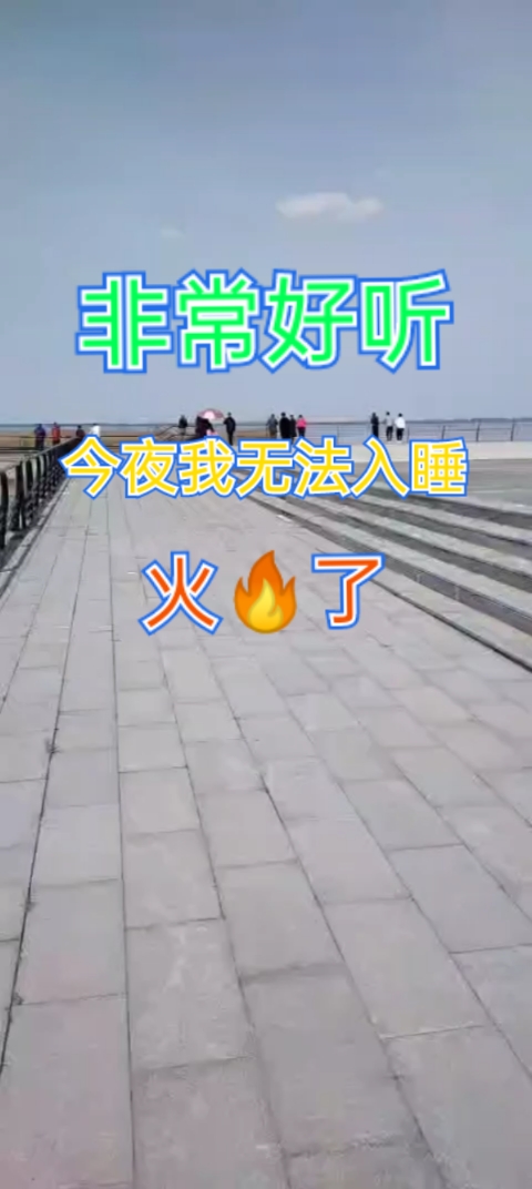 情感音乐歌曲今夜我无法入睡