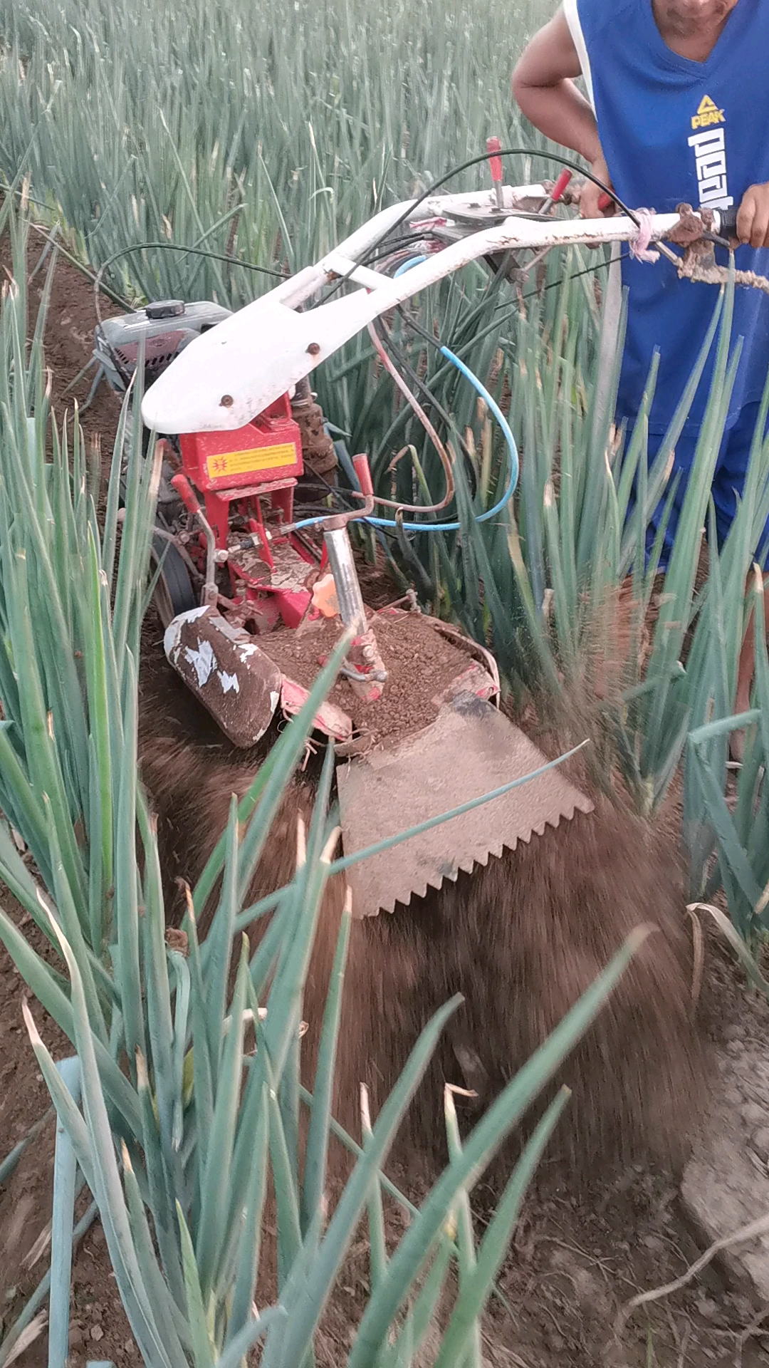 舜航开沟培土机#大葱培土机开沟培土机