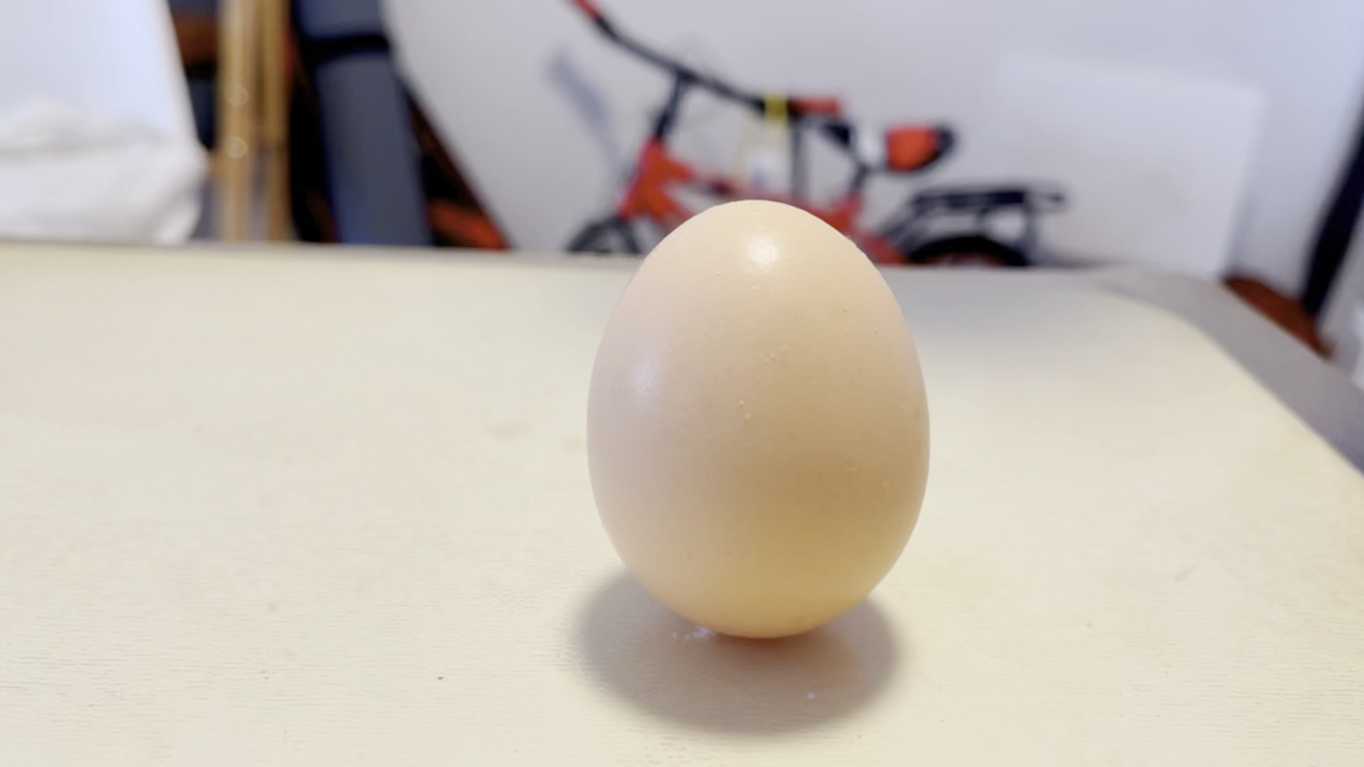 科学小实验你能把鸡蛋立起来吗