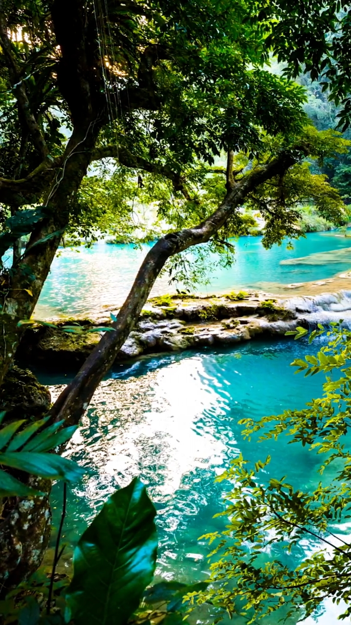 微笑的眼睛,才能看见美丽的风景,简单的心境,才能拥有快乐的心情"大