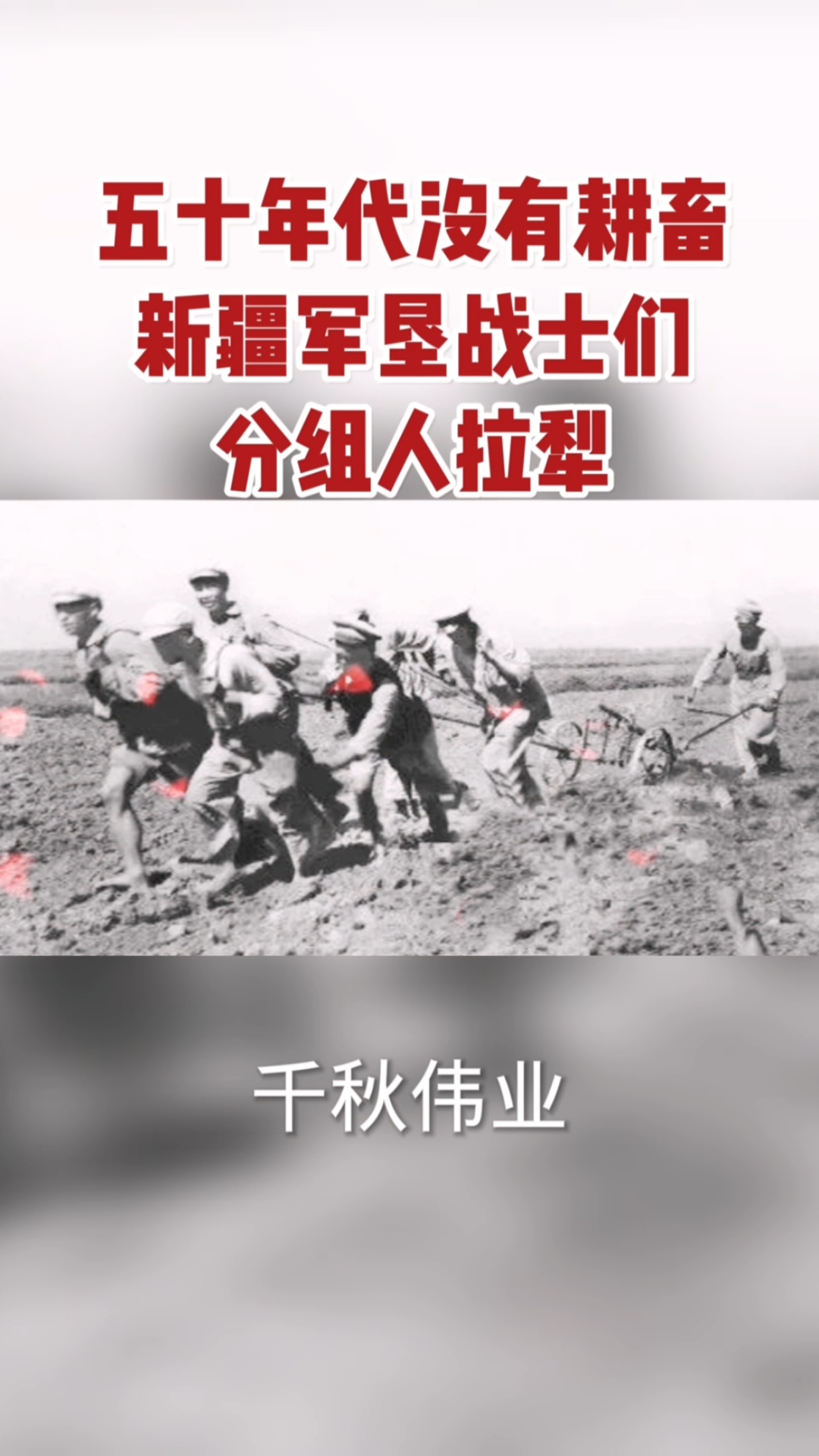 全民正能量#新疆屯垦戍边的流金岁月