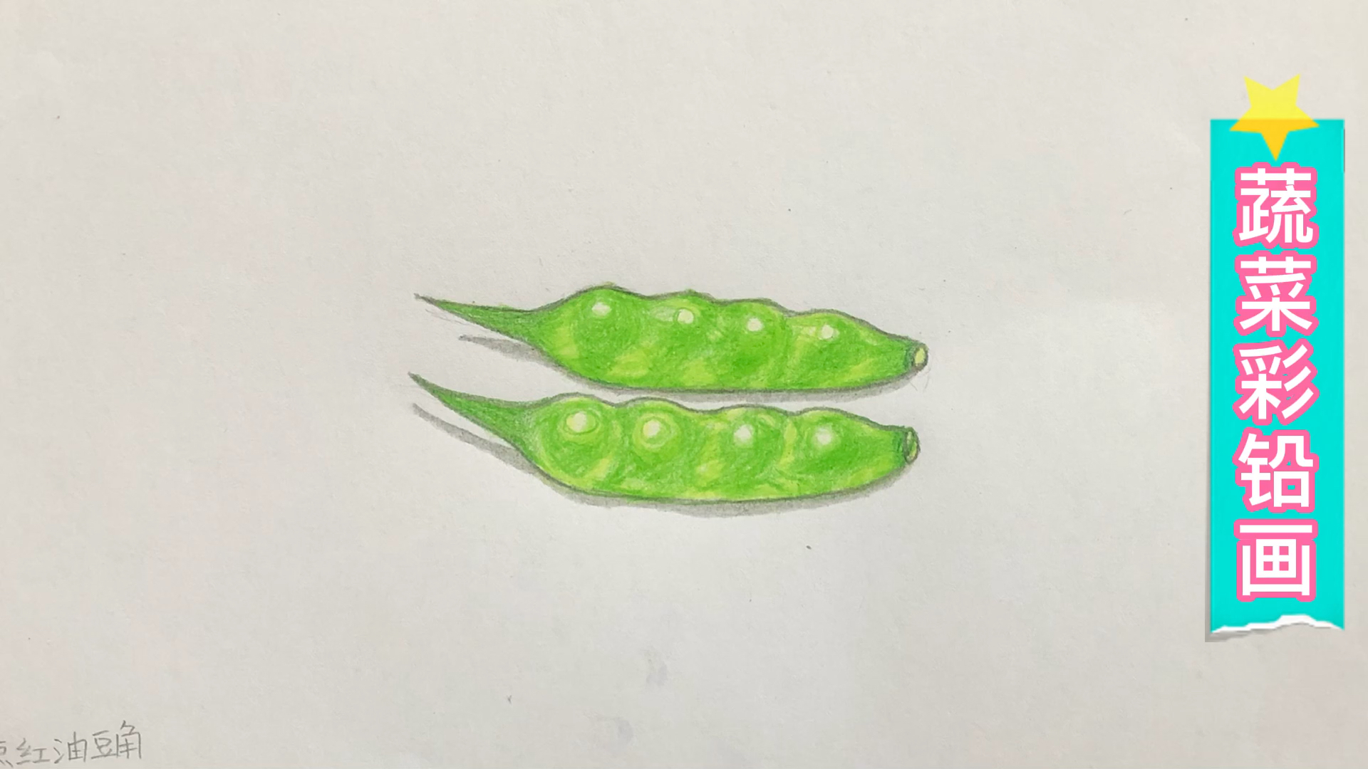 彩铅画蔬菜彩铅画油豆角