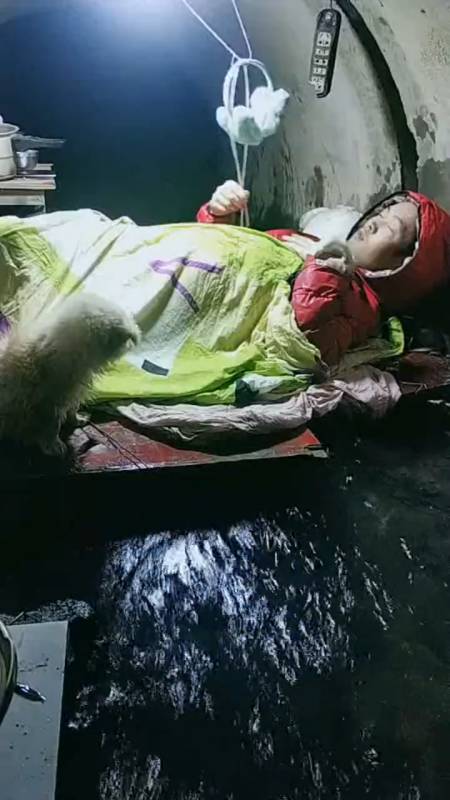 搞笑段子剧#美女挑战在桥洞下生存第62天,她老公看到,会怎么做!