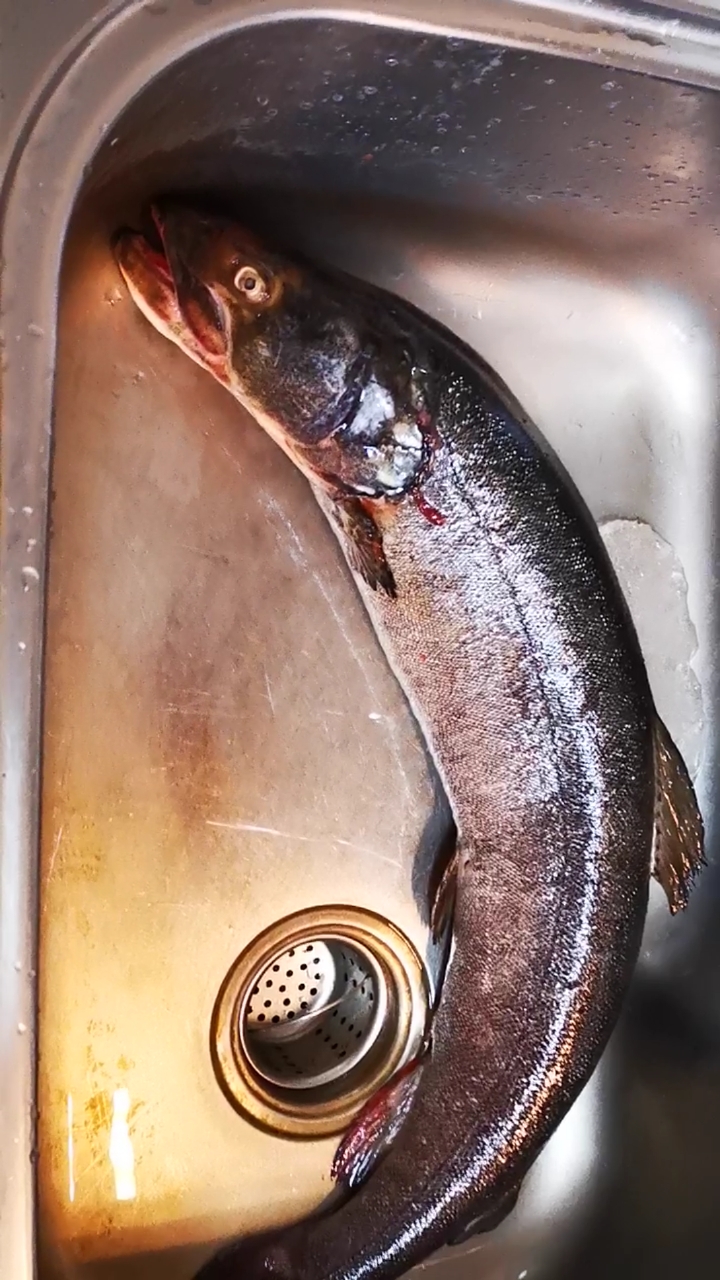 家乡特色美食远东名鱼哲罗鲑能吃上一口是一种福分