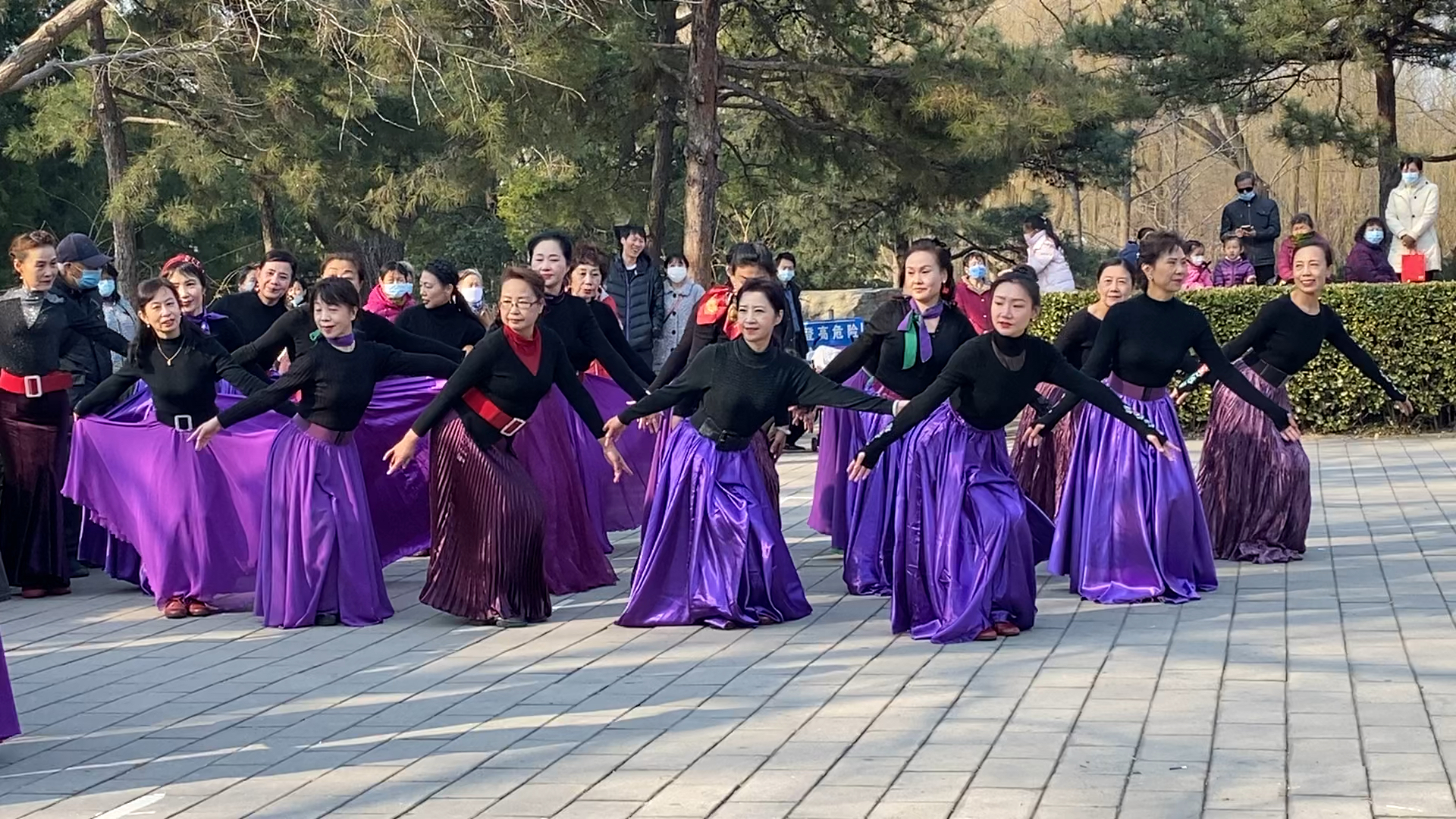 妃子红广场舞雪山阿佳图片