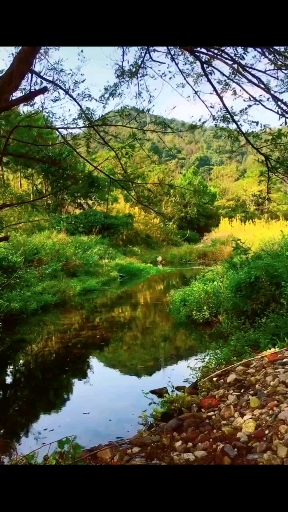 李子柒#那山那水那農舍……循著布穀聲聲,去看裊裊炊煙,夢迴兒時的