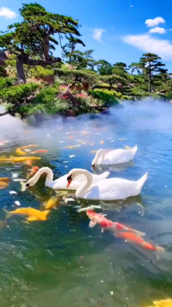 过好冬天#一片祥和之景,见者好运