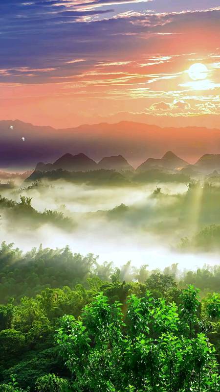 睡前原谅一切,醒来便是重生.风景 治愈系 人