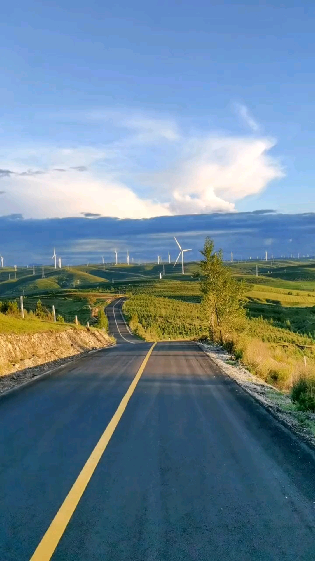 张家口:草原天路