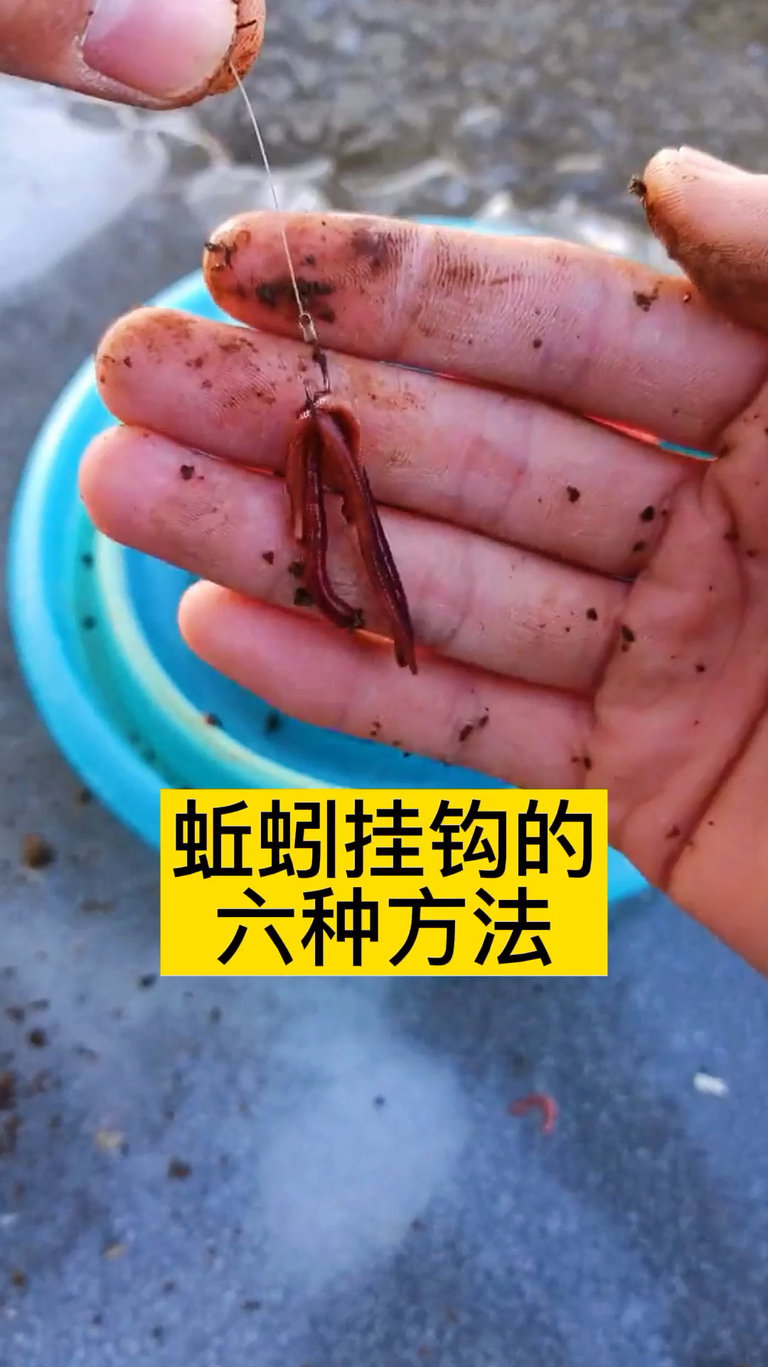 钓鱼蚯蚓挂钩的六种方法你用的是哪一种呢