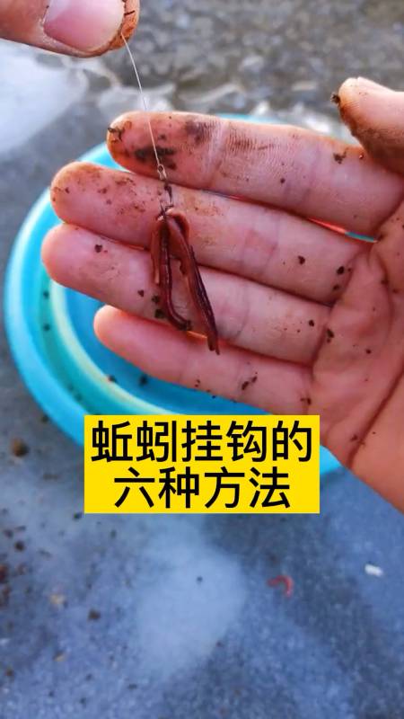 钓鱼蚯蚓挂钩的六种方法你用的是哪一种呢