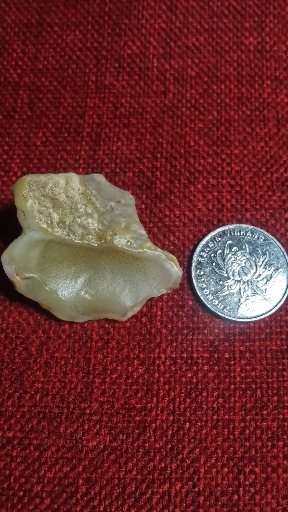 罗布泊地表蛋白原石