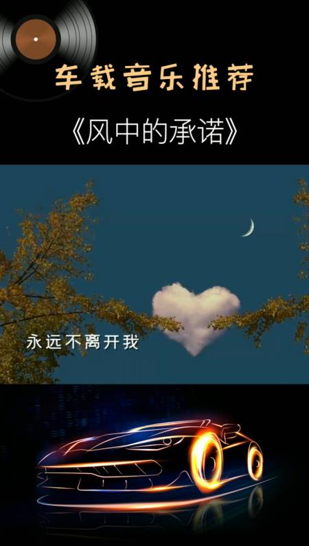 音乐#经典老歌《风中的承诺》