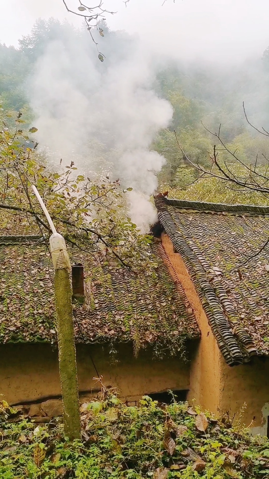 乡村的炊烟袅袅升起,远处的山坡被一层薄雾笼罩,不时传来几声鸡叫