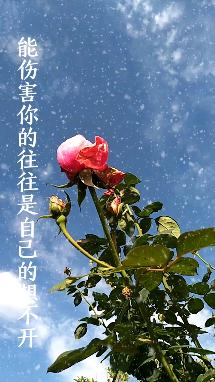 致自己#往往是自己太在意了