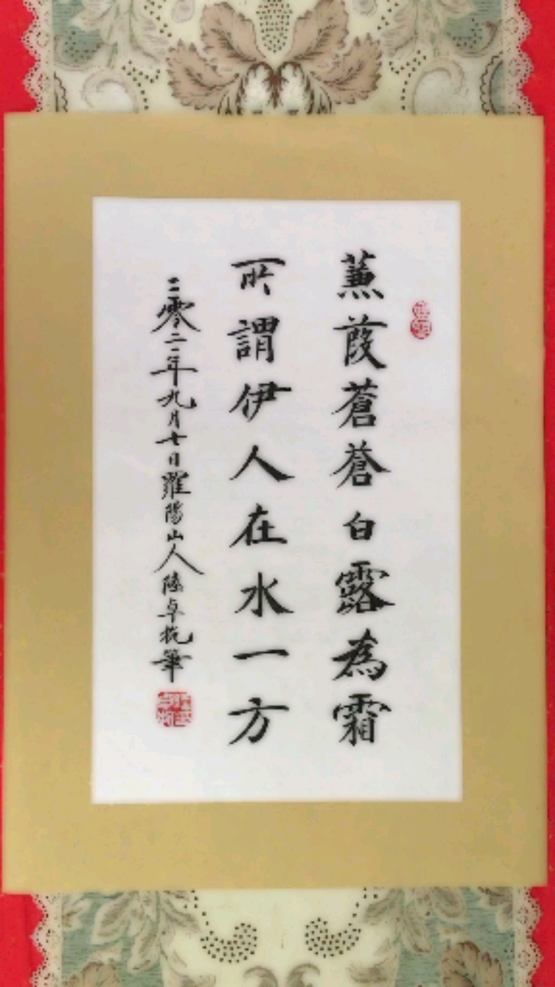 蒹葭苍苍,白露为霜.所谓伊人在水一方-度小视