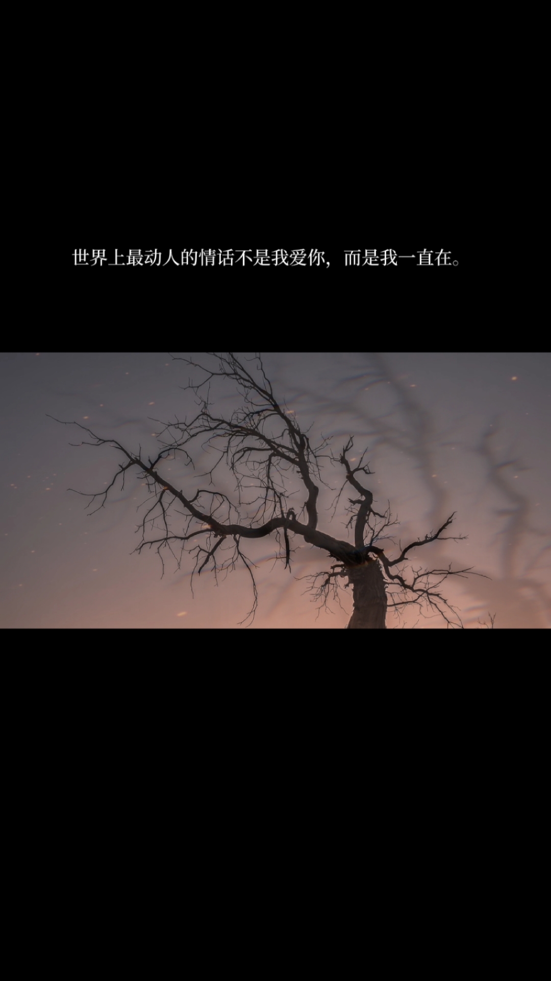 感恩有你世界上最动人的情话不是我爱你而是我一直在