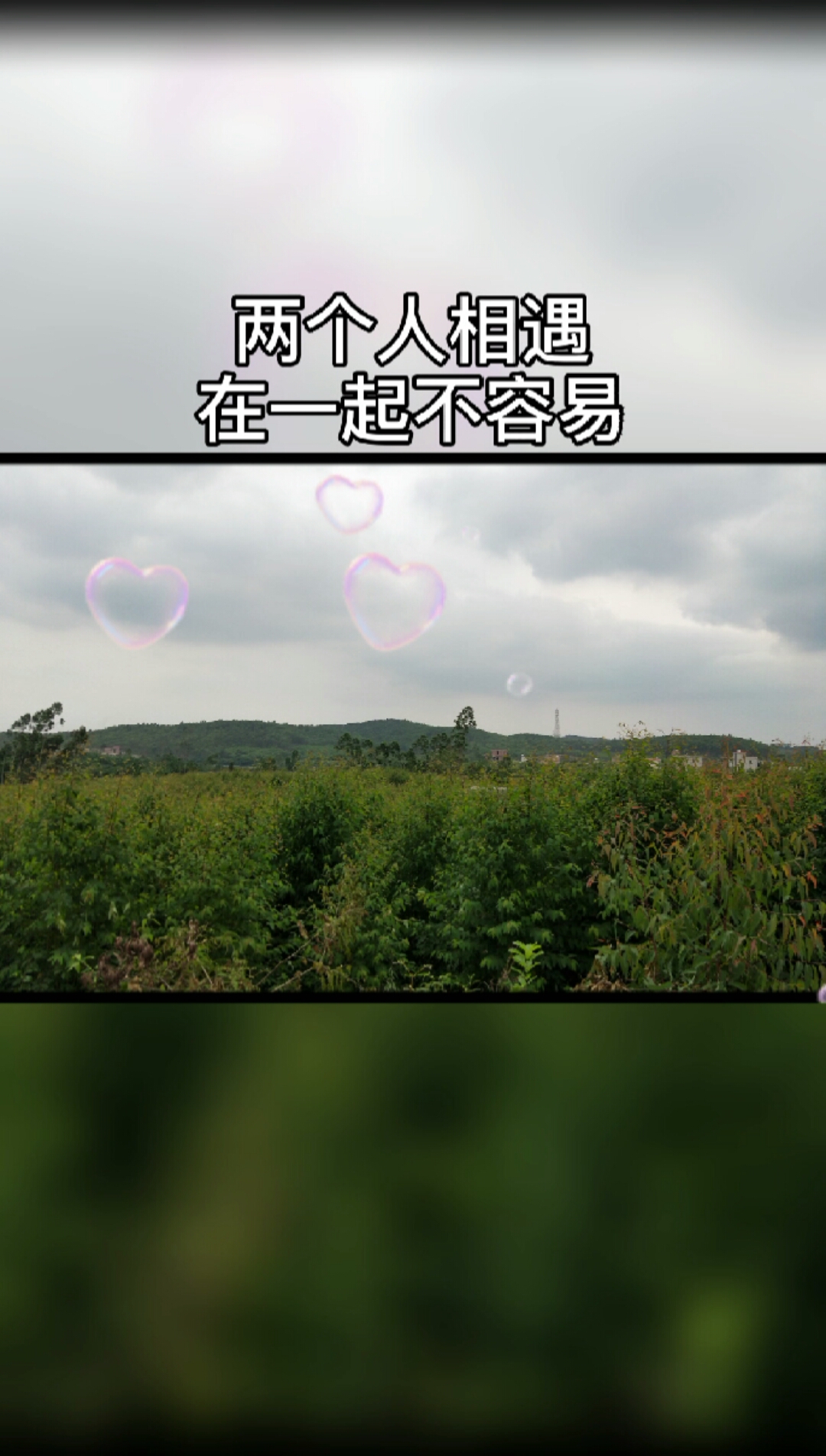 两个人相遇在一起不容易,别轻言放弃