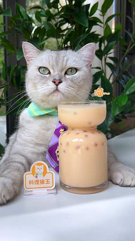 自制美食猫王你喝过用珍珠做的真珍珠奶茶吗