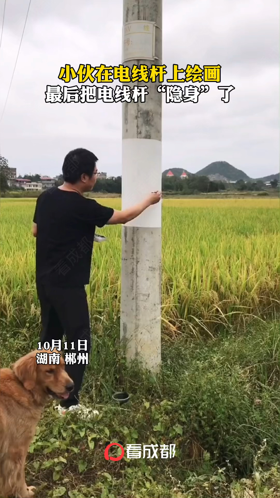 高手在民间湖南郴州小伙在电线杆上绘画最后把电线杆隐身了