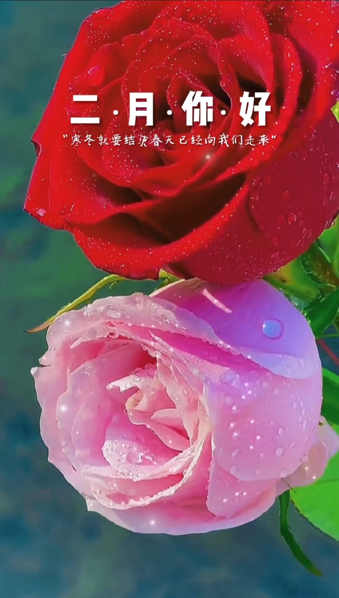 新春愉快#每段都是问候素材——一月再见,二月你好!