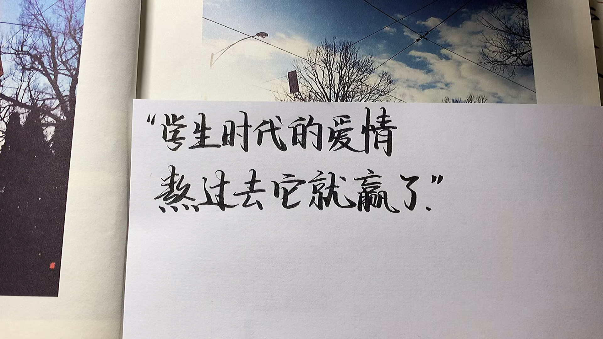文案#"学生时代的爱情,熬过去它就赢了"