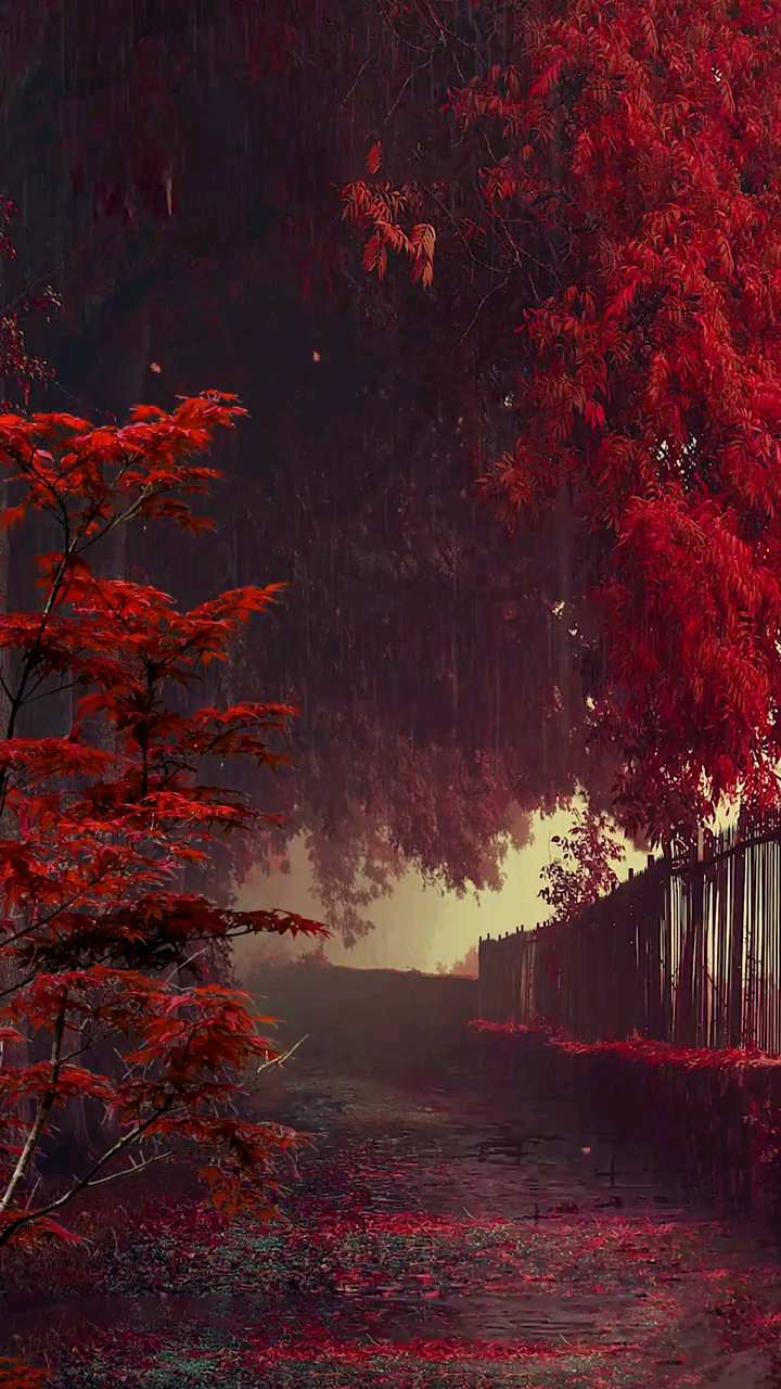 大自然美景#古来表白多白表,向来情书难抒情.