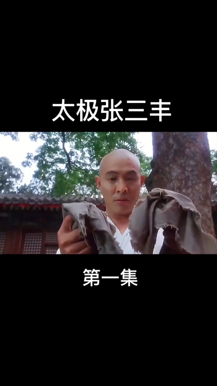 李连杰#张天宝张君宝你们喜欢哪个?#太极张三丰#李连杰