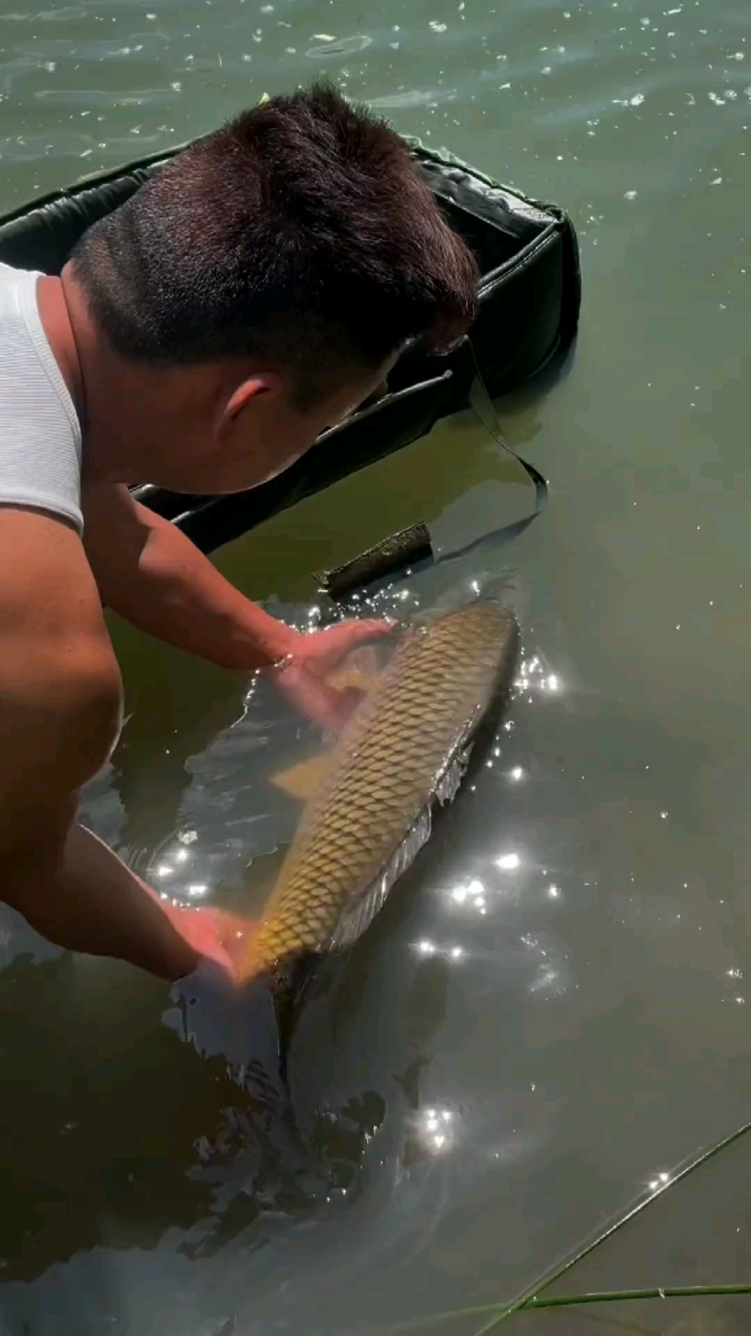 钓鱼#野钓两个小时的成果,钓友们猜猜这个大家伙有多重