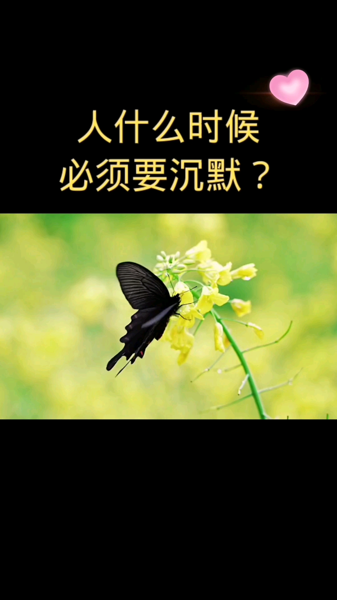 人生感悟#沉默是看透一切后的体谅-度小视
