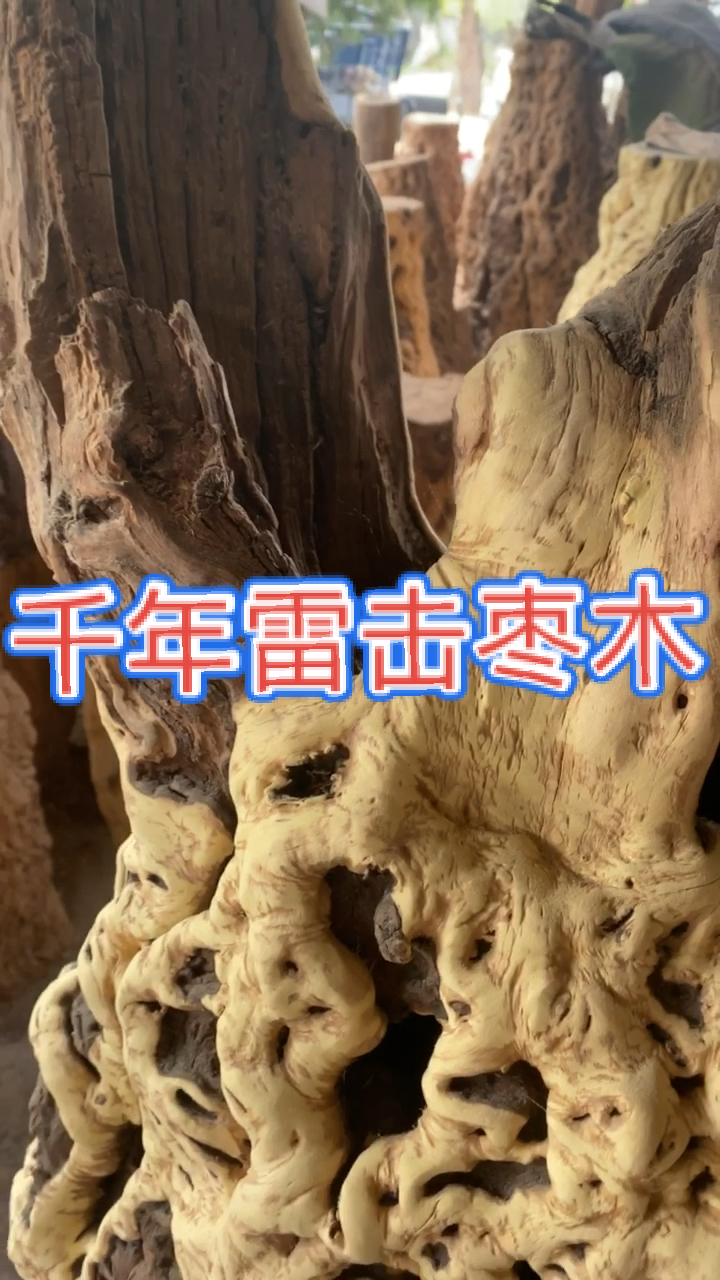 龙纹枣木原产地雷击枣木河南原产地