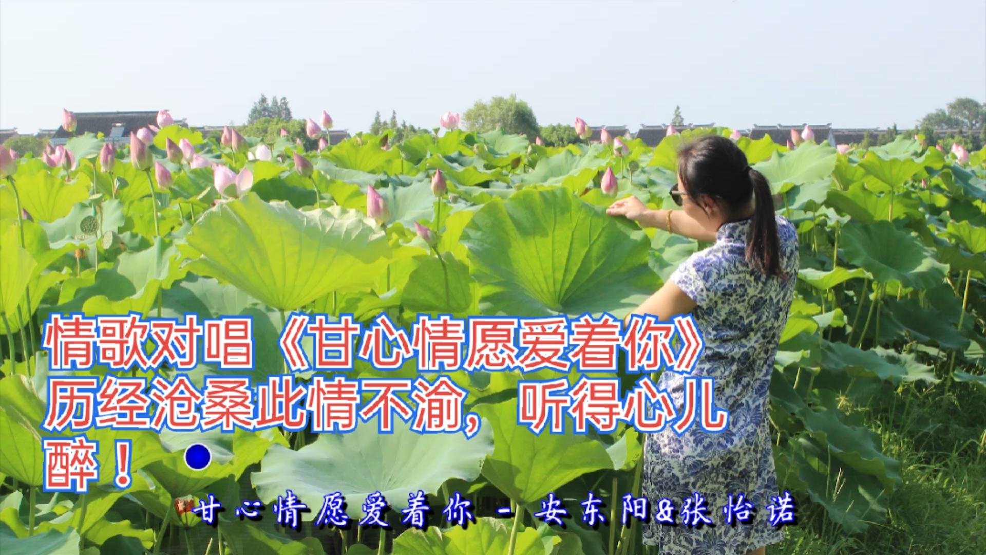 情歌对唱《甘心情愿爱着你》历经沧桑此情不渝,听得心儿醉!