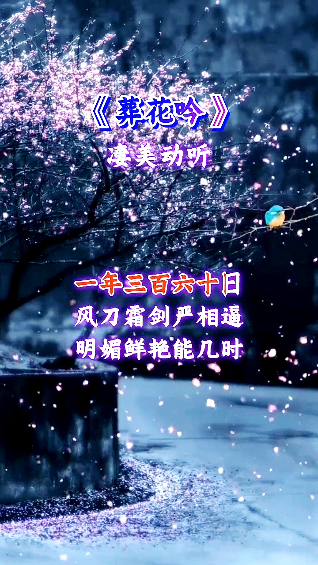 万元奖金争夺赛红楼梦经典歌曲葬花吟如泣如诉凄美动听天尽头何处有