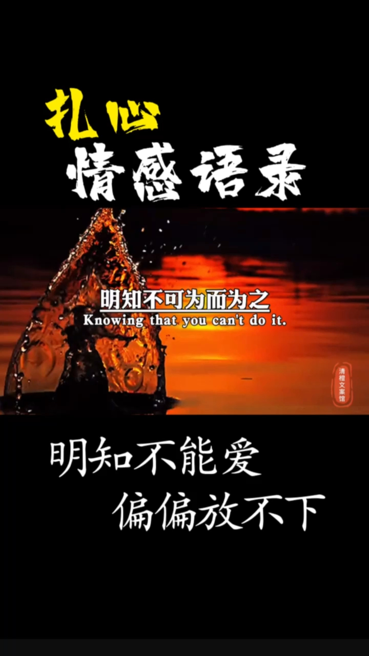 扎心情感语录爱而不得放下难难放下沉浸其中无法自拔